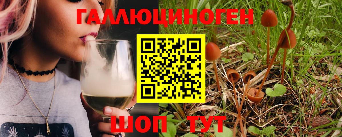 Галлюциногенные грибы Psilocybine cubensis  Вход с VPN  Галлюциногенные грибы Psilocybine cubensis  Озёрск 